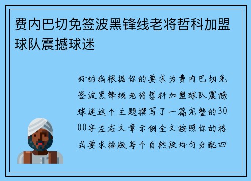 费内巴切免签波黑锋线老将哲科加盟球队震撼球迷